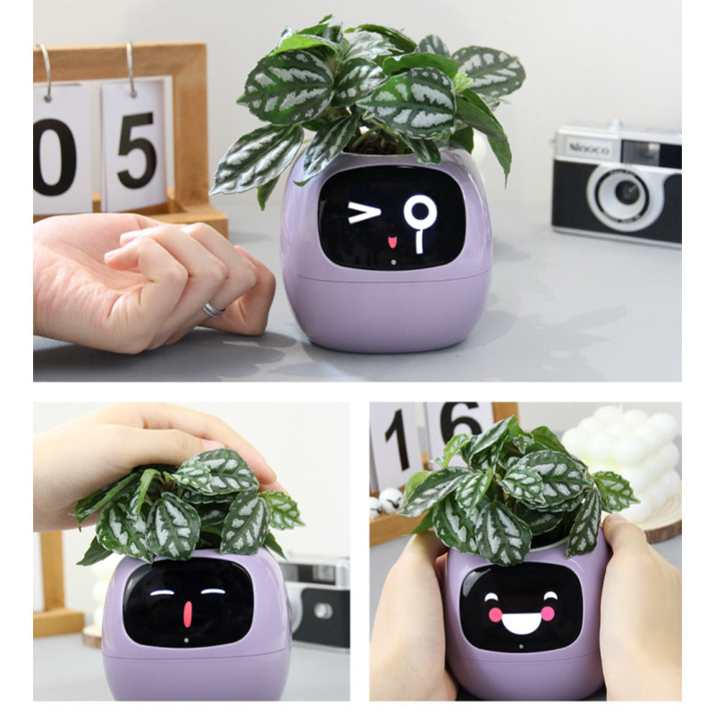 IVY - AI Plant & Flower Pot Pet Robot