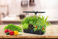 NEW Smart Hydroponics Vegetable Soilless Planter (12-hole LCD Plant Growth Lamp)