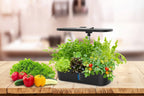 NEW Smart Hydroponics Vegetable Soilless Planter (12-hole LCD Plant Growth Lamp)